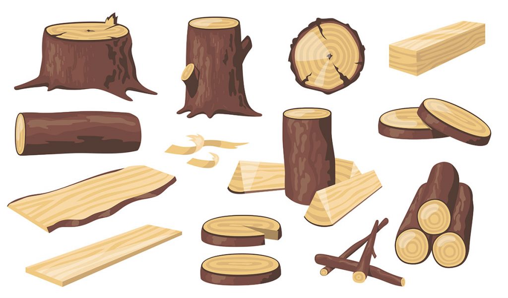 wordpress log file